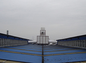 高活性二月桂酸二丁基錫 NT-12，是聚氨酯體系的經典凝膠催化劑